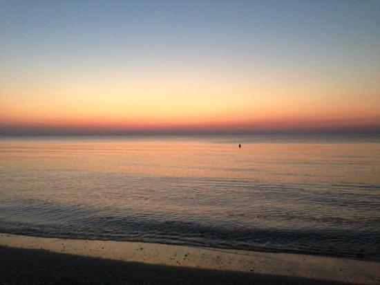 Plaja Tomis